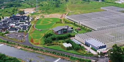 美成畫!河源這4個小鎮值得一去! 旅游項目規劃建議